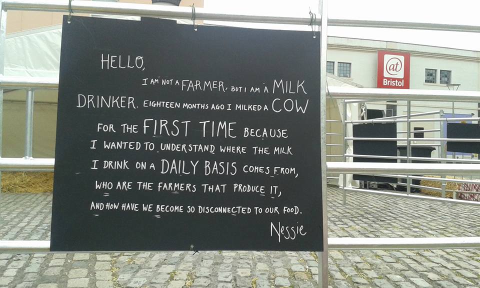 2 Cows Have Taken Up Residence in Bristol's Millennium Square
